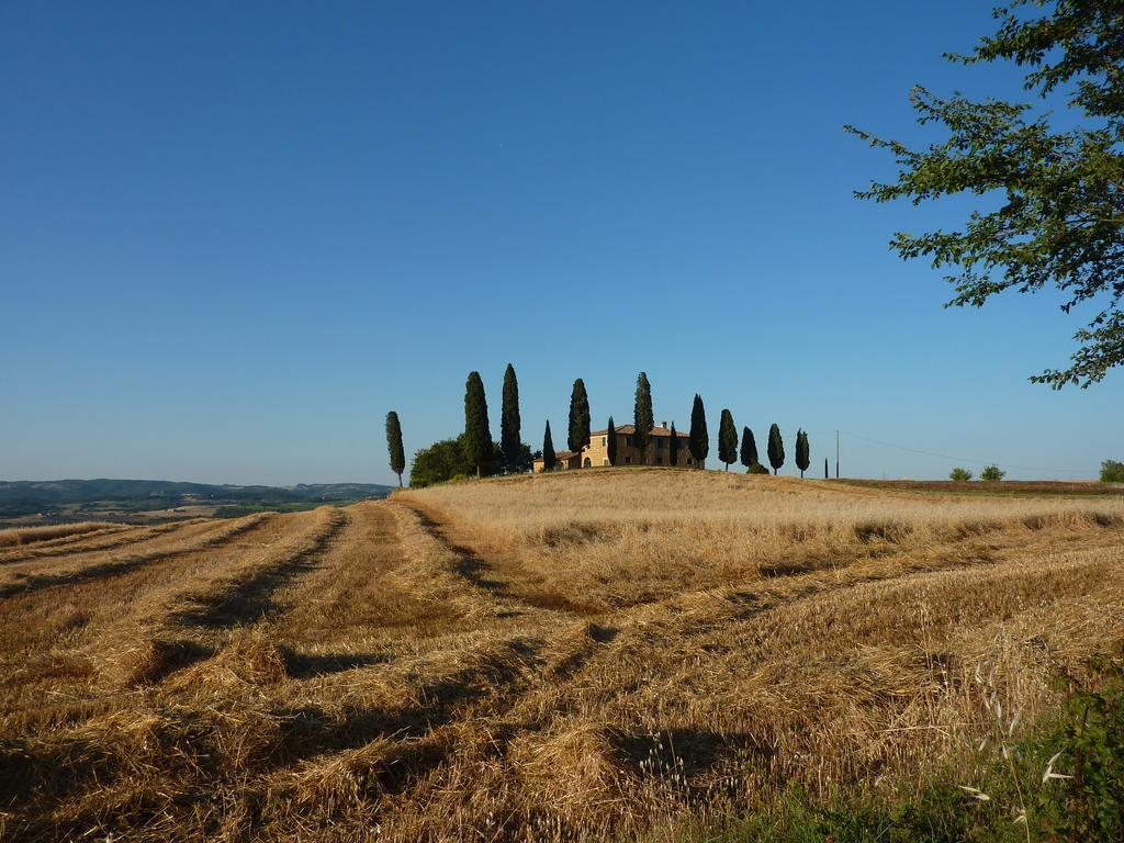 Camere Andrei Pienza Exterior photo